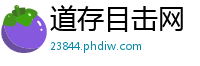 道存目击网
